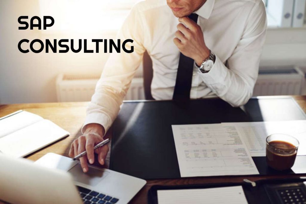 SAP Consulting