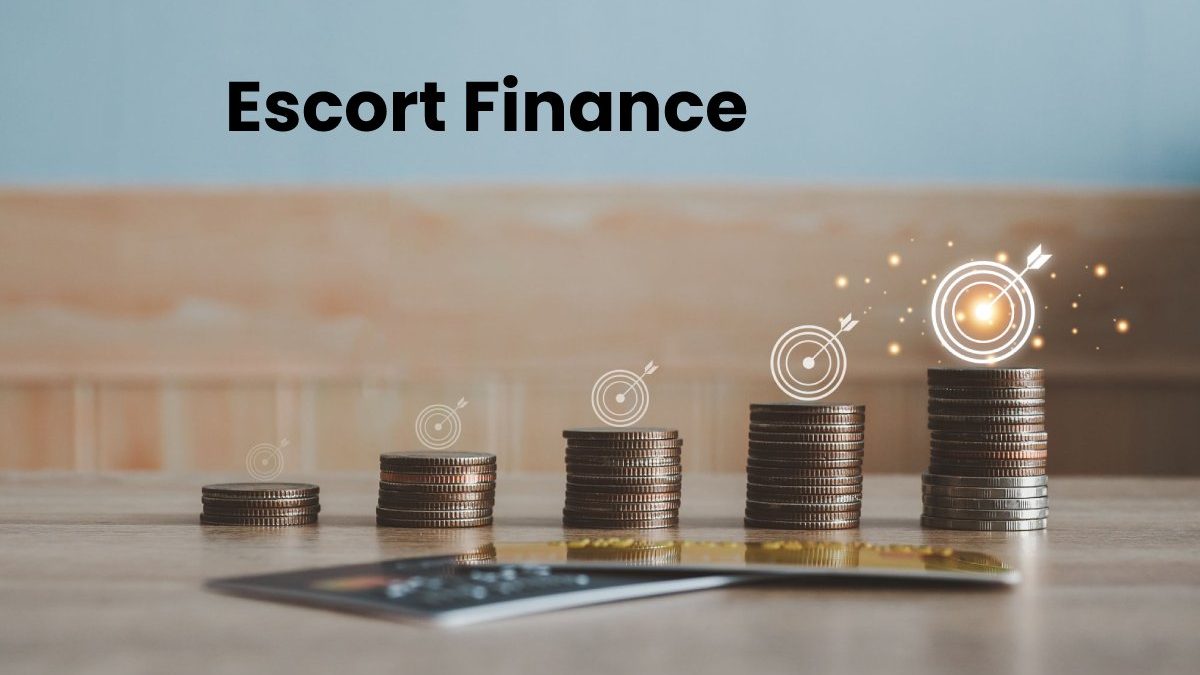 Escort Finance Share Price – Shares And Investment