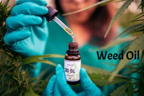 Weed Oil