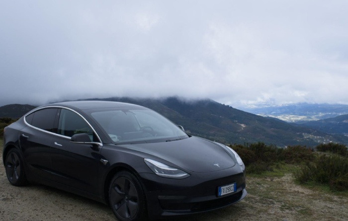What Are Tesla Plants